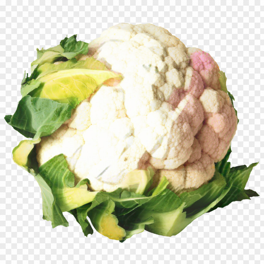 Flower Iceburg Lettuce Vegetables Cartoon PNG