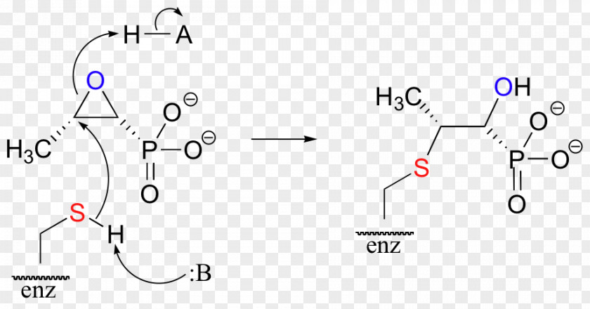 Fosfomycin Chemical Reaction Electrophile Epoxide Cysteine PNG