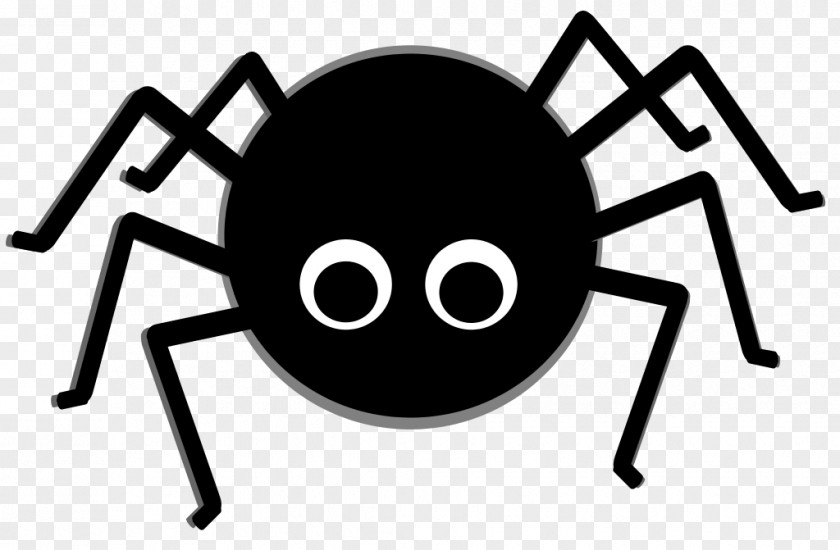 Itsy Bitsy Spider Spain Knowledge Student Clip Art PNG