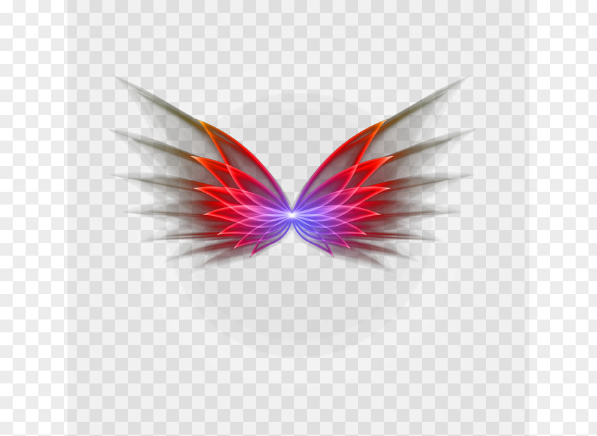 Light Effect Butterfly Close-up Pattern PNG