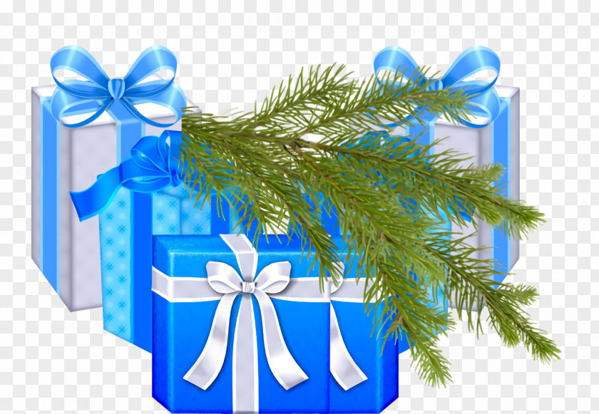 Plant Fir Christmas Gift New Year PNG