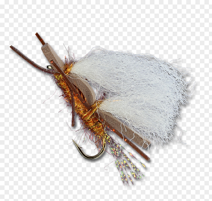 2 Gold Peacock Feathers Insect PNG