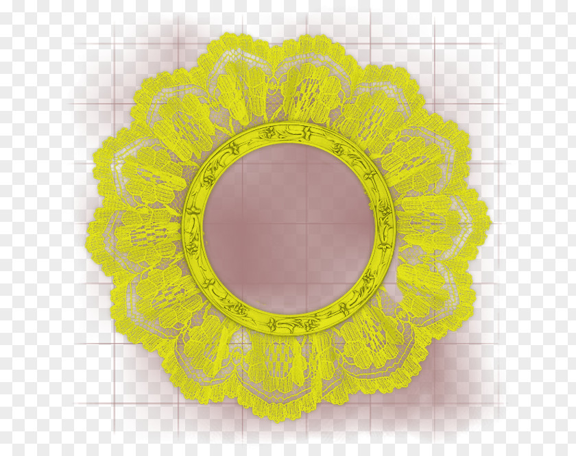 Fond Couleur Picture Frames Flower Pattern PNG