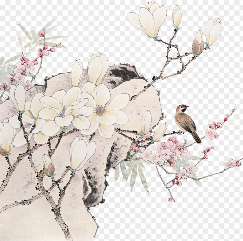 Magnolia Flowers Chinese Painting Ink Wash Bird-and-flower Gongbi PNG
