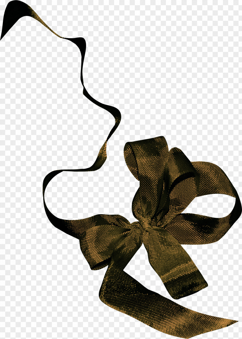 Ribbon Cutting Photography Picture Frames Information Clip Art PNG