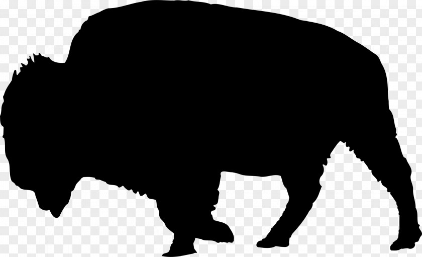 Bison American Silhouette Drawing Clip Art PNG