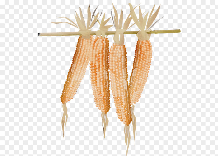 Carrot Vegetarian Food Watercolor Plant PNG