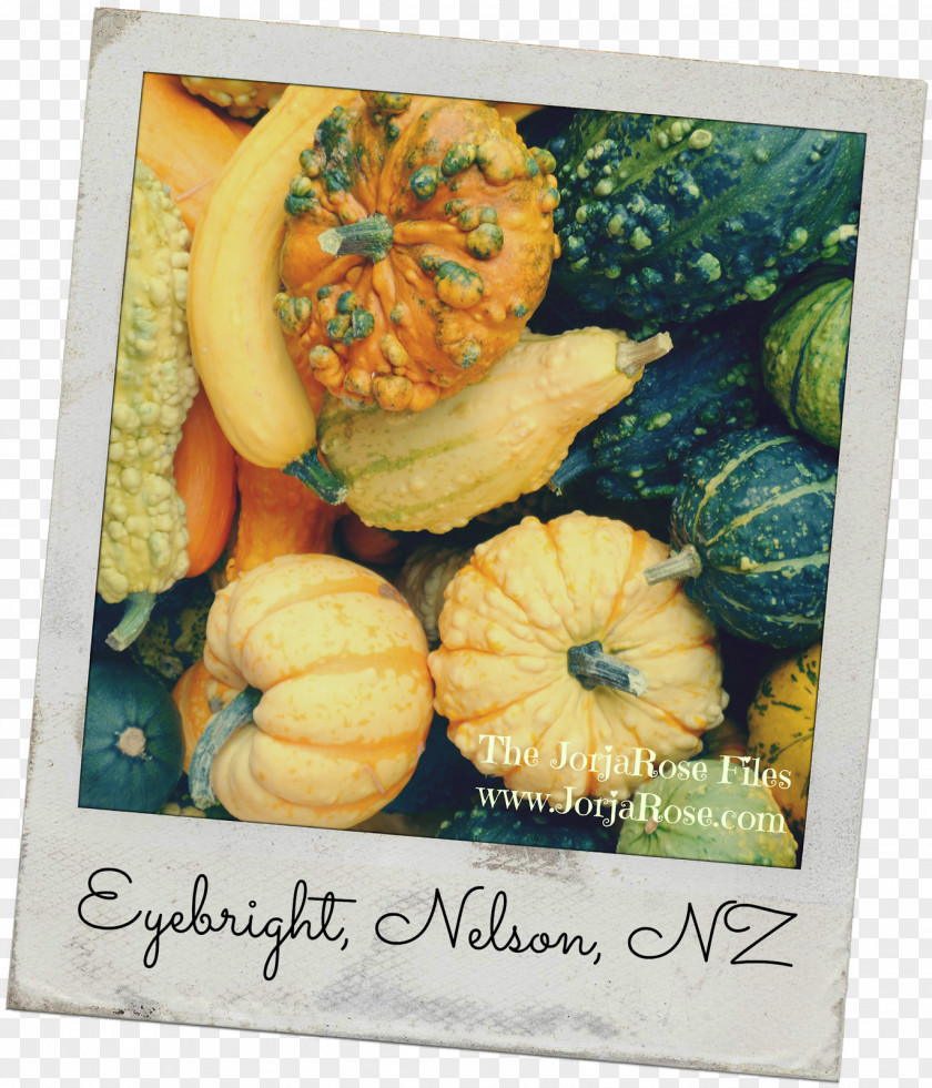 Pumpkin 3 Little Letters Winter Squash Gourd Food PNG