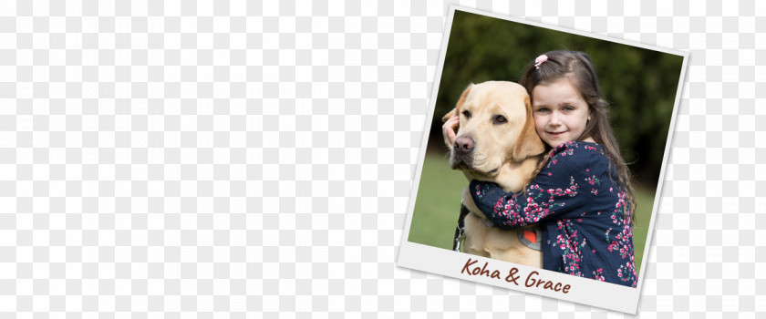Dog Puppy Love Picture Frames Brand PNG