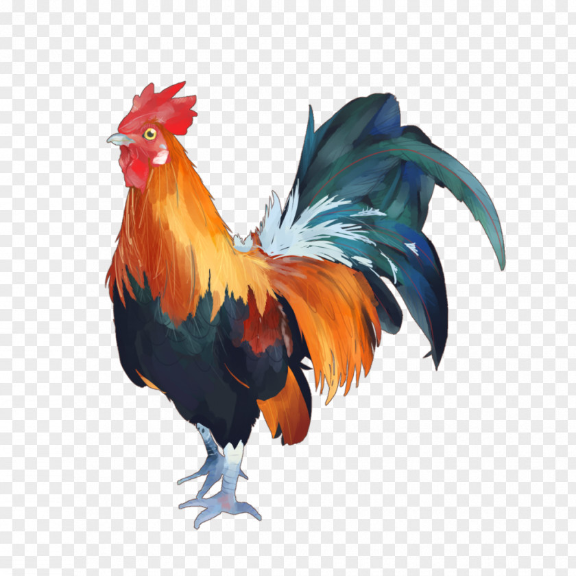 Rooster Illustrator Art Book Chicken Bird PNG