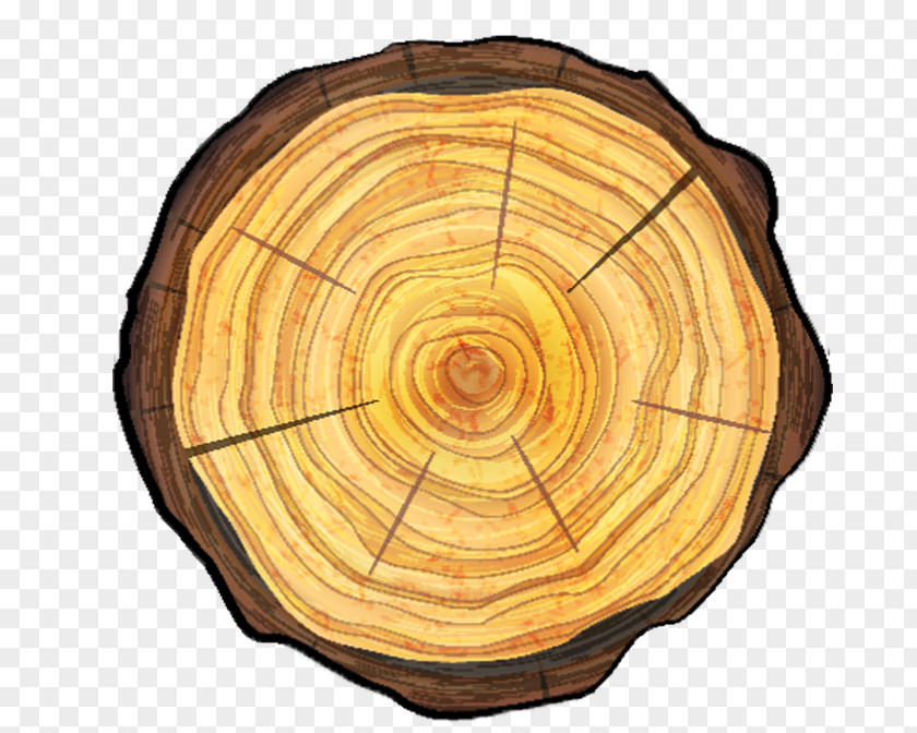 Tree Root Removal Wood Stump Vector Graphics Trunk PNG