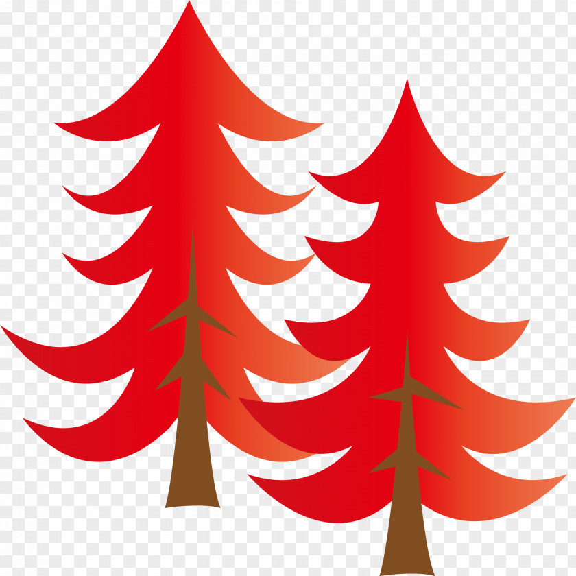 Leaf Tree Woody Plant Pine PNG