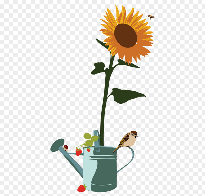 Yellow Sunflowers Common Sunflower Clip Art PNG