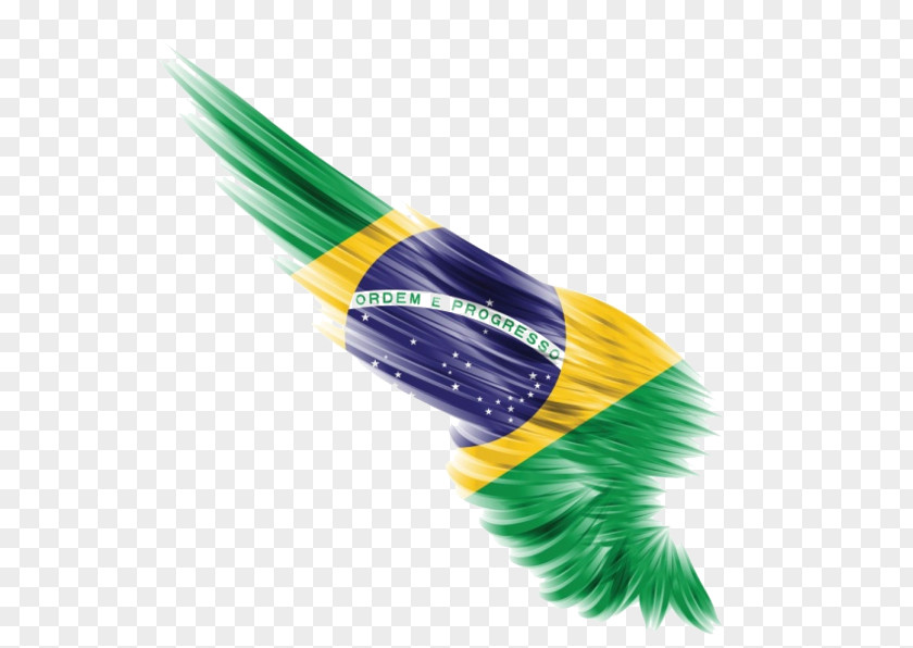 Brazilian Flag Feather Carnival In Rio De Janeiro Dance Tumbao PNG