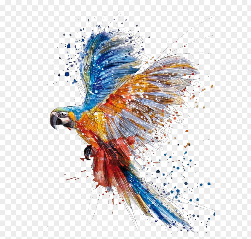 Fly PNG clipart PNG