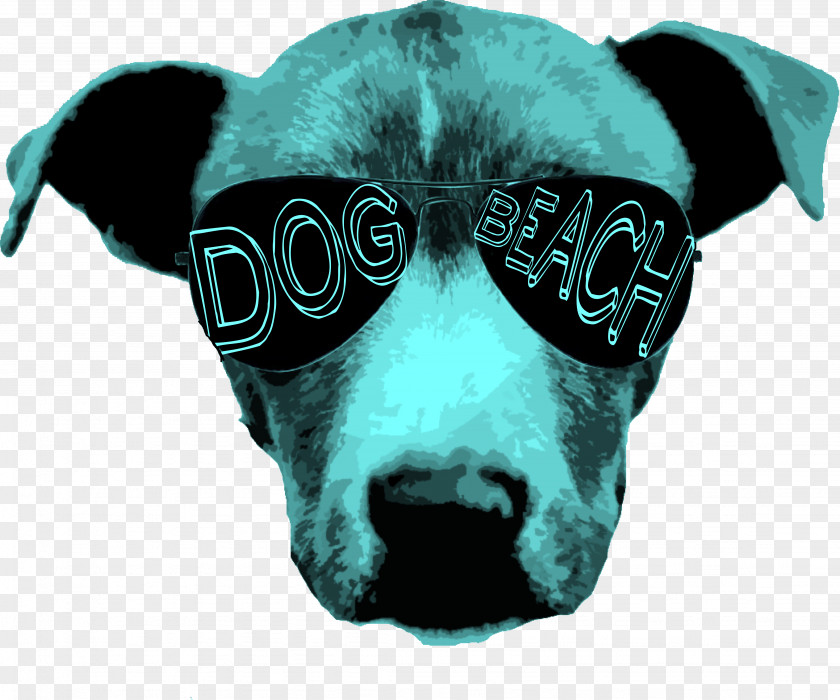 Gear Dog Breed Snout PNG