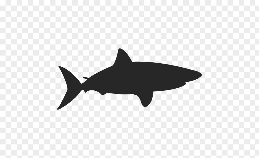 Sharks Turtle Shark Aquatic Animal Silhouette PNG