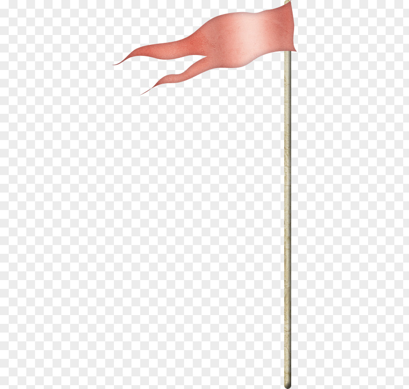 Small Colored Flags Flag PNG