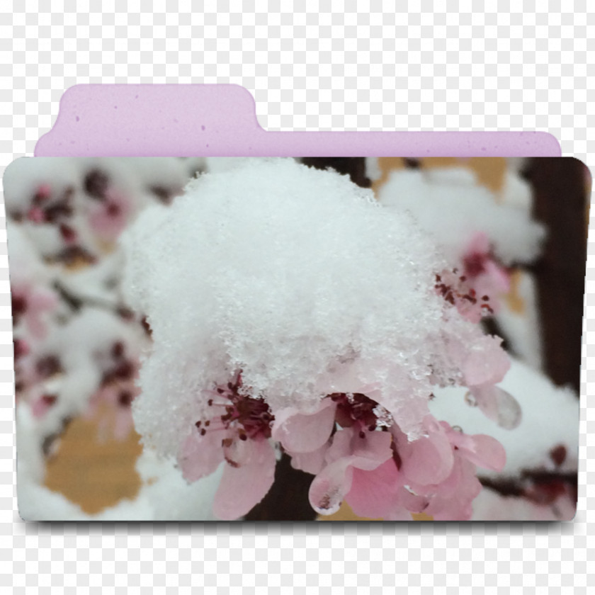 Snow Flower DeviantArt ST.AU.150 MIN.V.UNC.NR AD Petal PNG