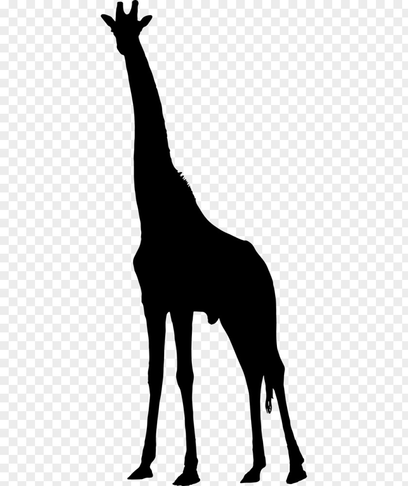 Animal Silhouettes Giraffe Clip Art Vector Graphics Silhouette Drawing PNG