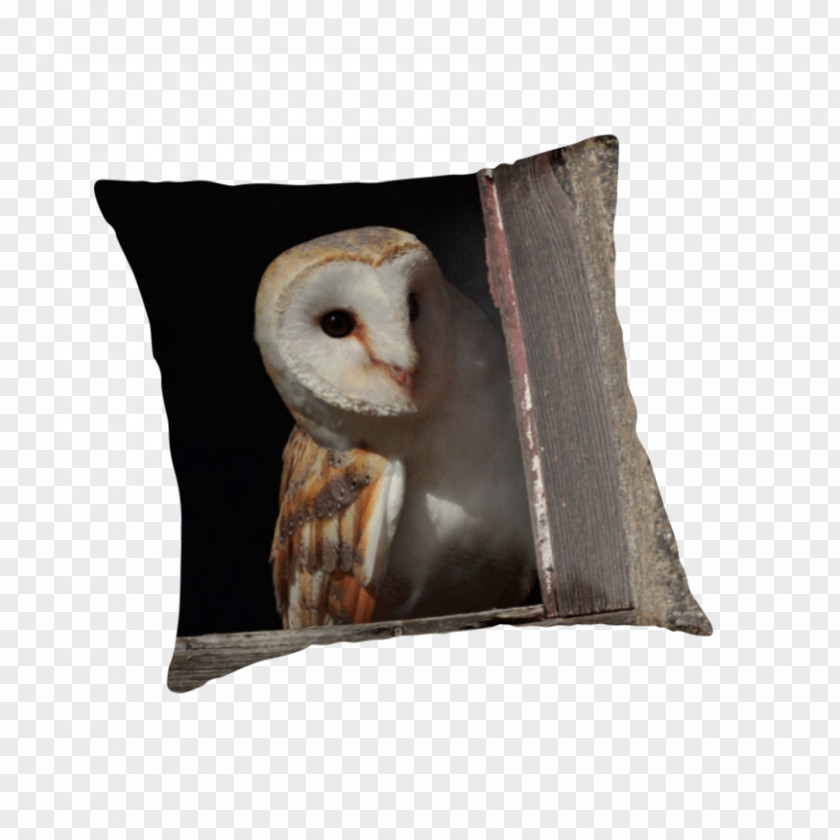 Barn Owl Throw Pillows Cushion Snout PNG