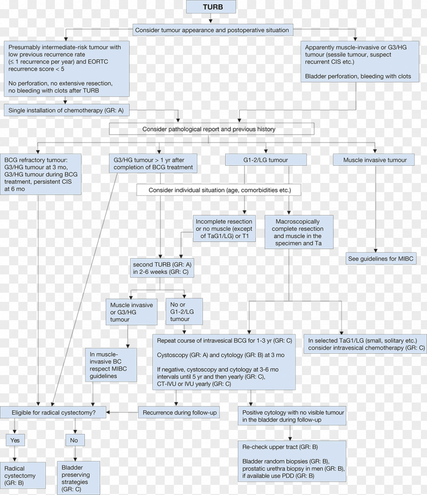 Cancer Neoplasm United States PNG