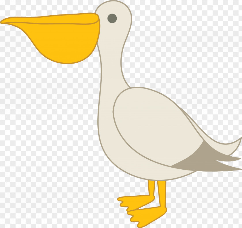 Cartoon Pelican Pictures Bird Free Content Brown Clip Art PNG