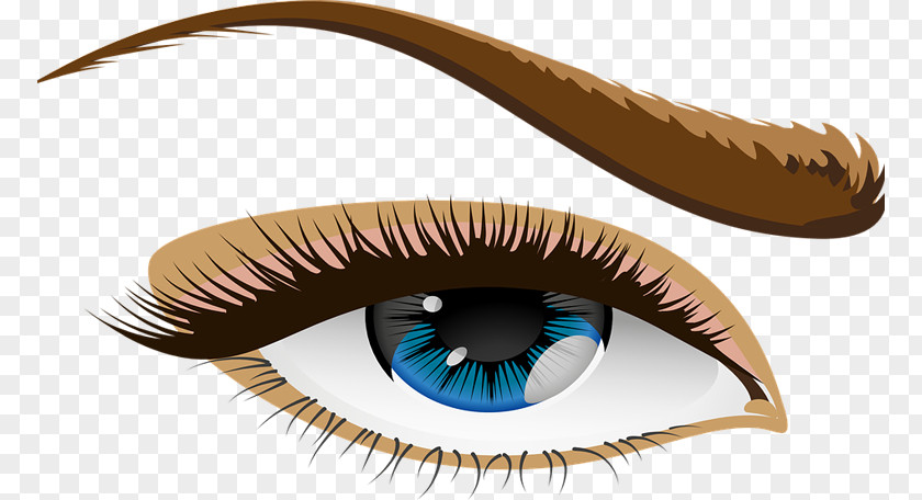 Eye Human Color Clip Art PNG