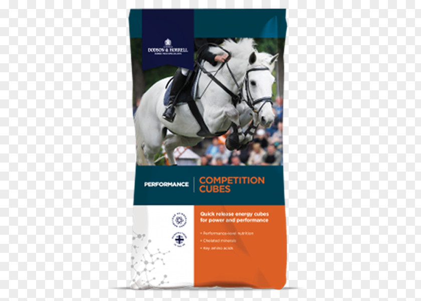 Horse Show Jumping Equestrian Competition PNG