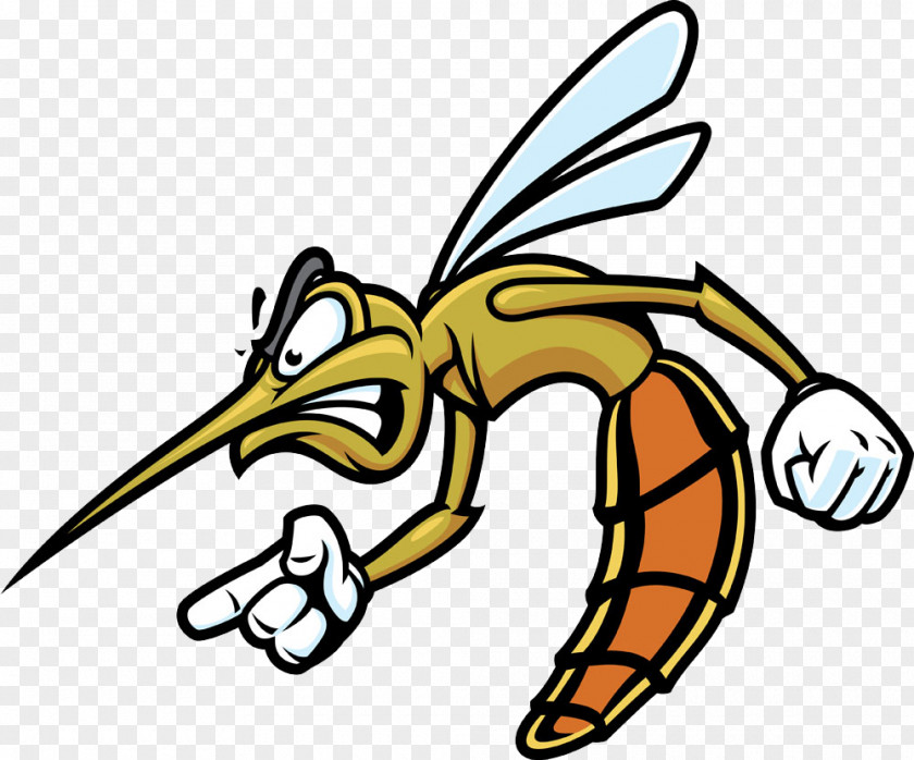 Mosquito The Insect Nematocera Vector PNG