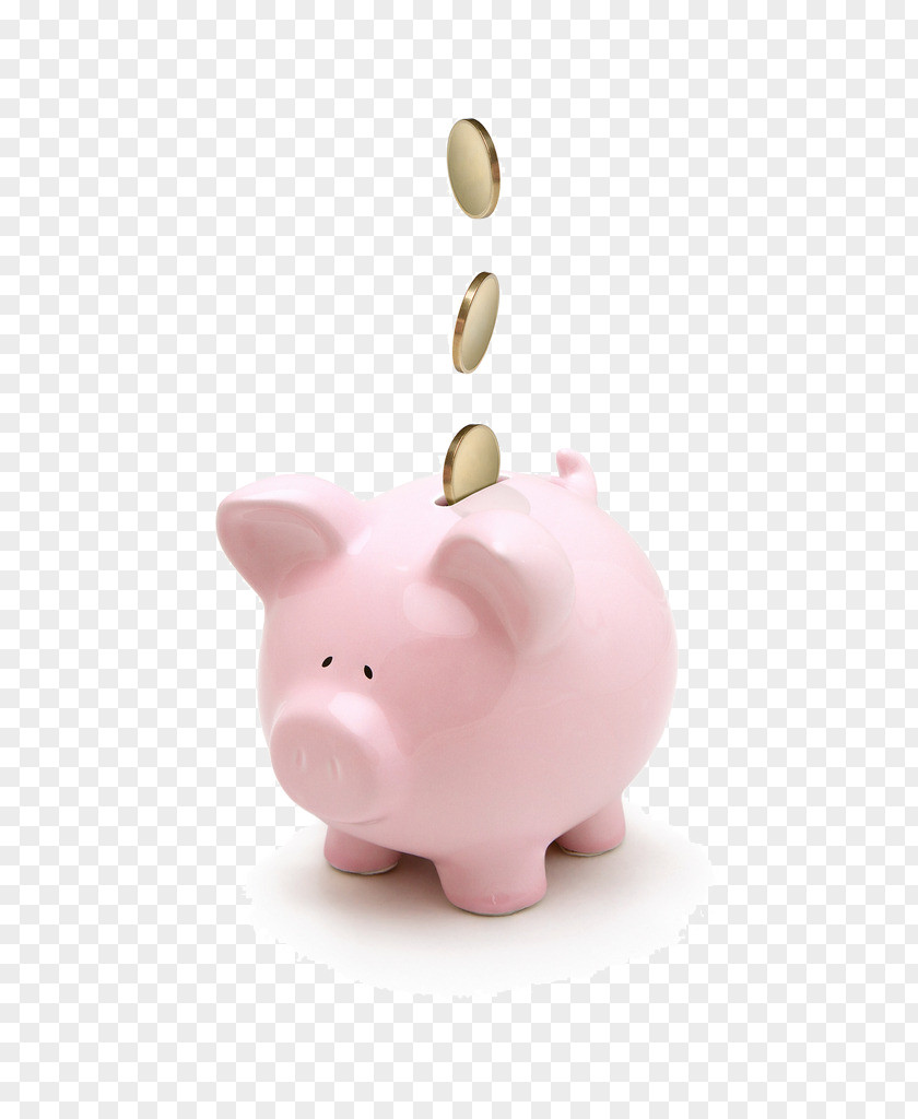 Piggy Bank Money Saving Coin Finance PNG