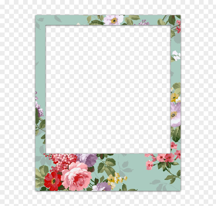 Polaroid Wall Students Floral Design Image Video Instagram Art PNG