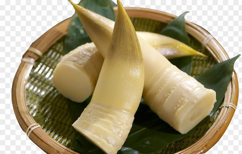 Shoot Vegetable Bamboo Eating Food PNG