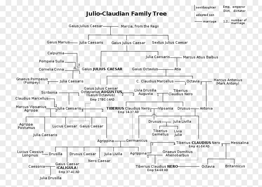 British Royal Family Roman Empire Julio-Claudian Dynasty Tree Emperor PNG