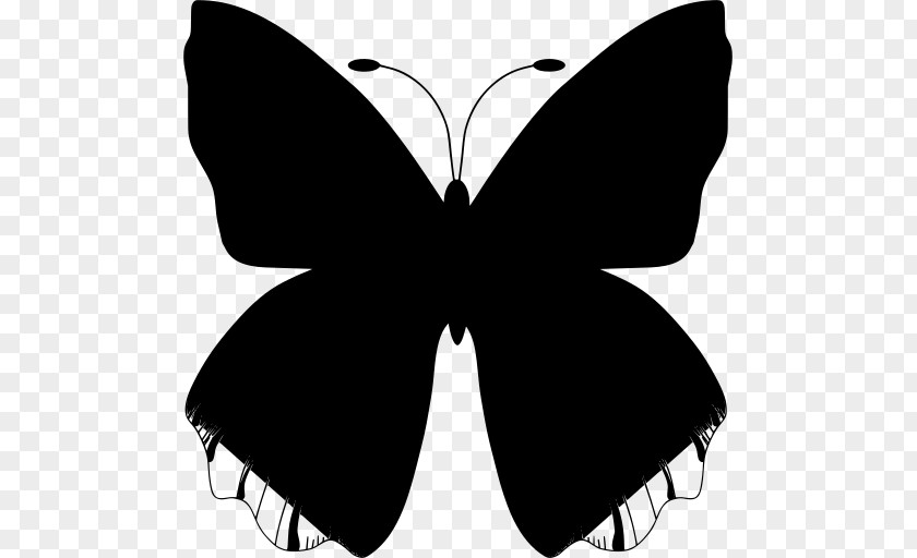 Brushfooted Butterfly Swallowtail Design PNG