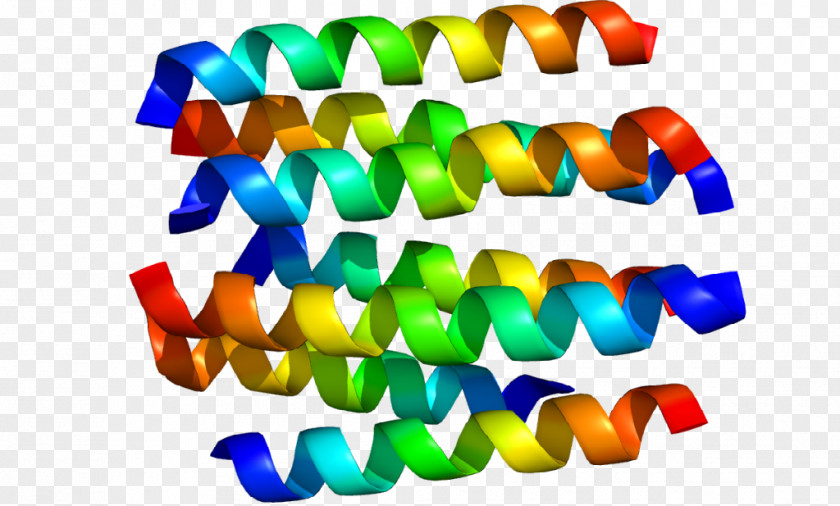 Dopamine Receptor D2 Protein PNG