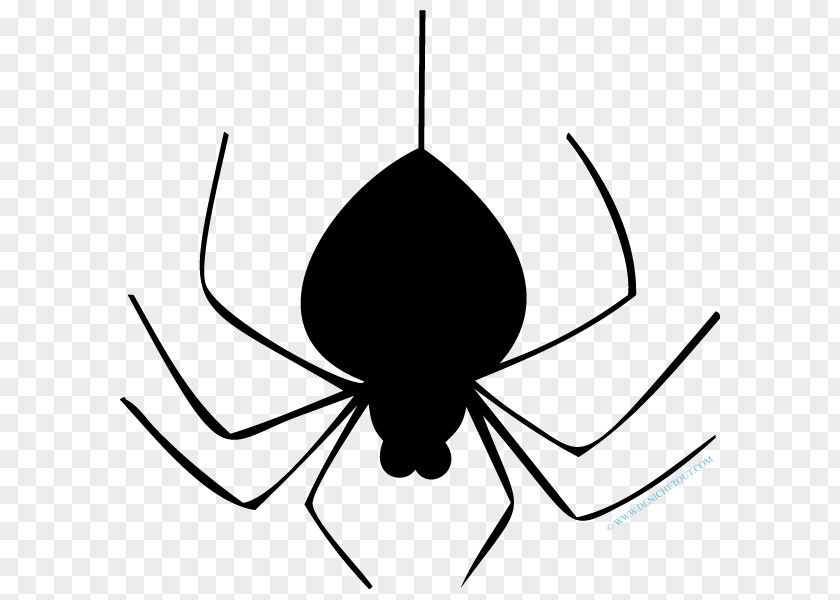 Spider Coloring Book Line Art Sticker Clip PNG