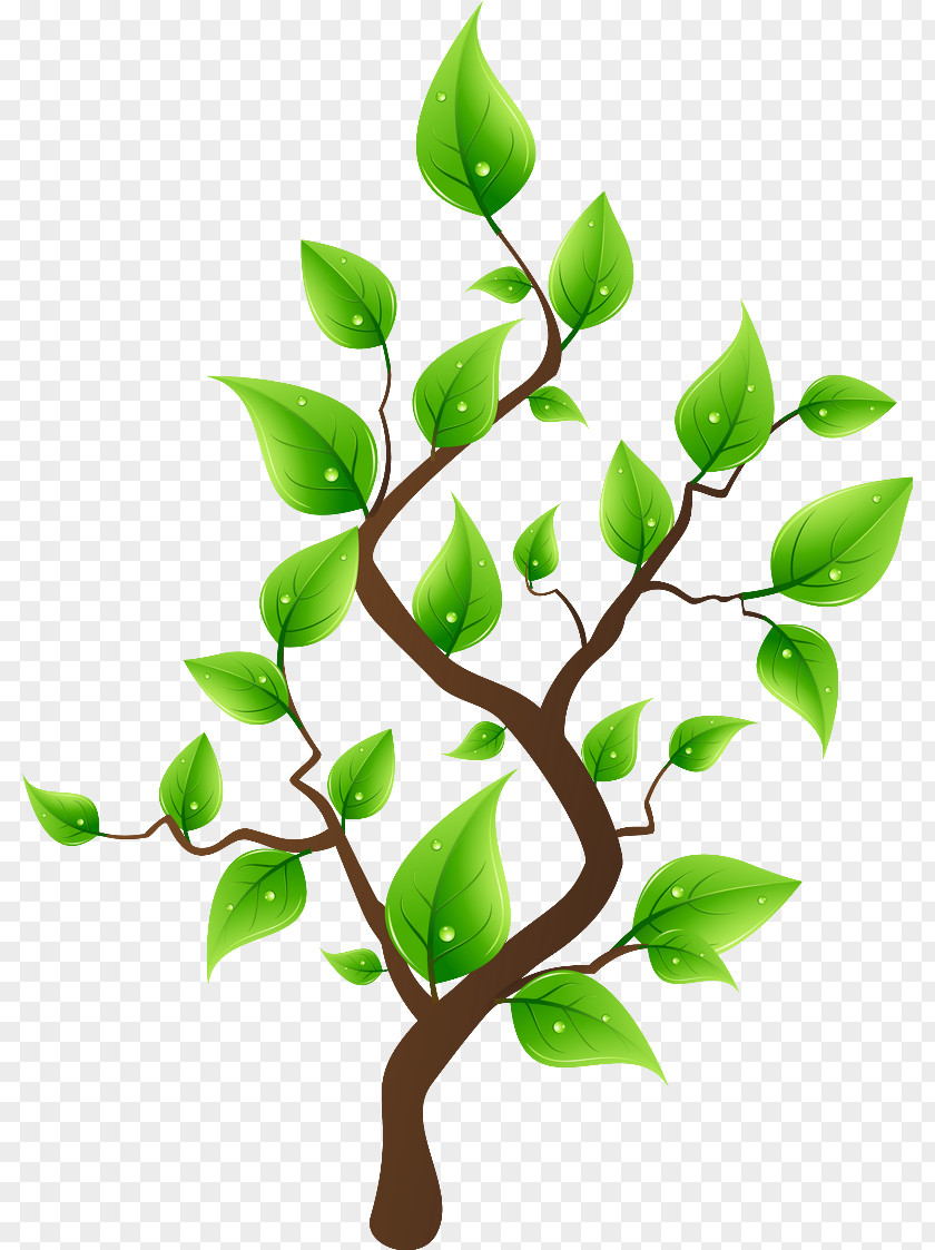 Tree Clip Art Drawing Image PNG