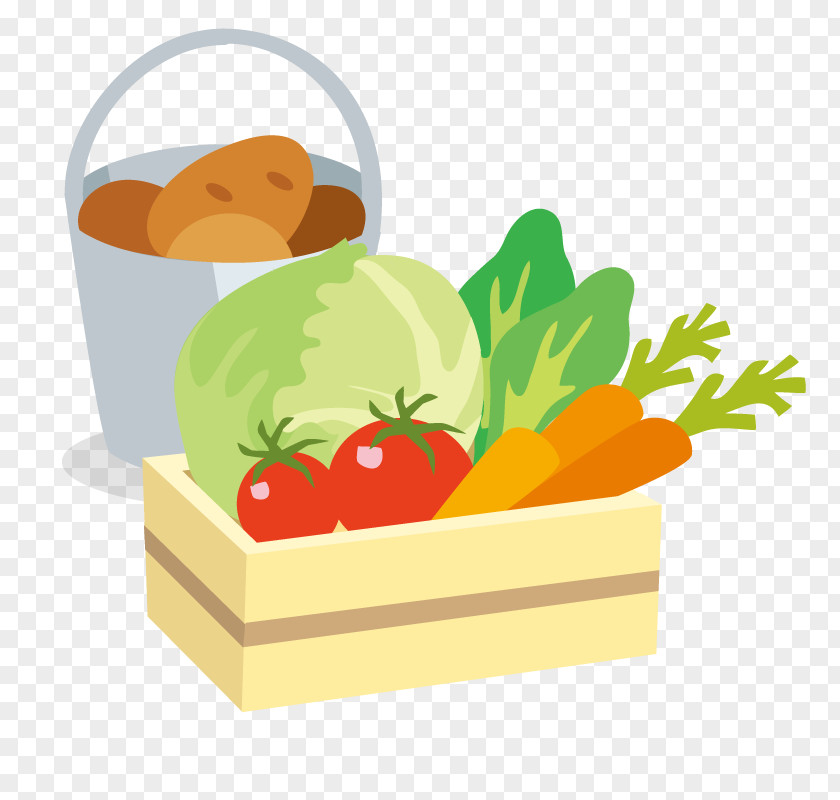 Vegetable Basket Raw Material PNG