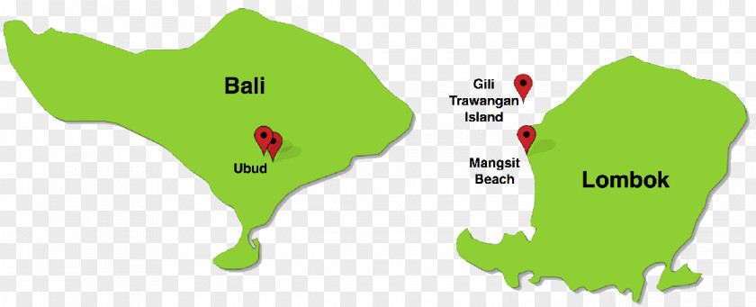 Bali Map Green Leaf Line Tuberculosis PNG