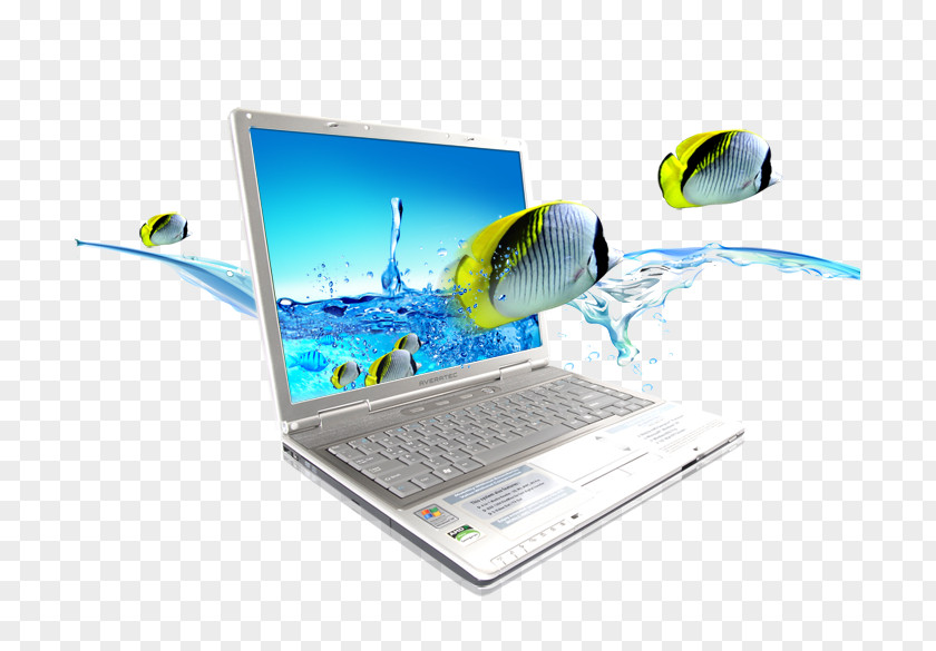 Creative Computer Laptop World Wide Web Information Company Phoenix Integration PNG