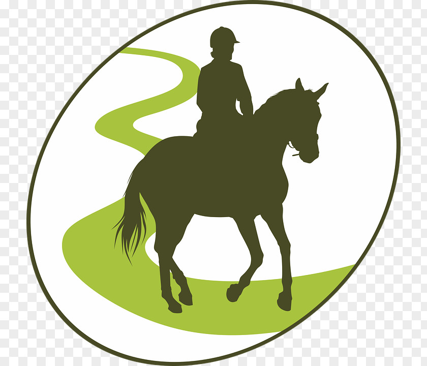 Horse Riding Equestrian AutoCAD DXF Jockey PNG