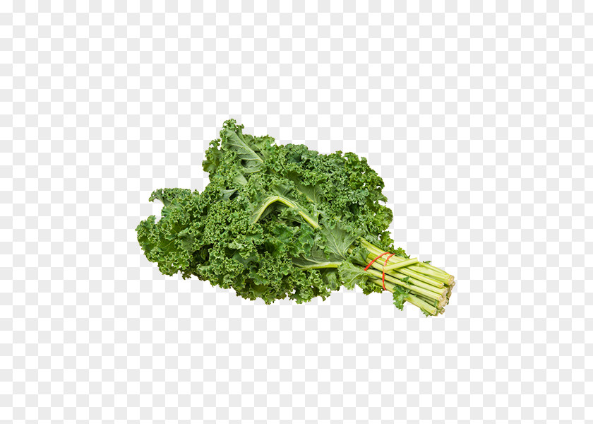 Kale Collard Greens Clip Art PNG