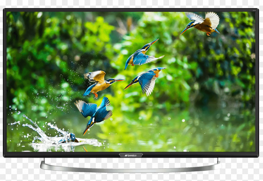 Led Tv LED-backlit LCD High-definition Television Sansui Electric Smart TV PNG