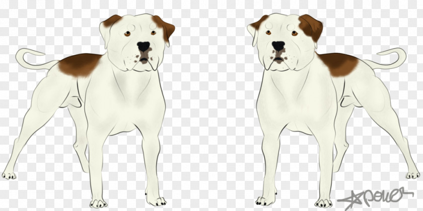 Colossus Dog Breed Pet Companion Canidae PNG