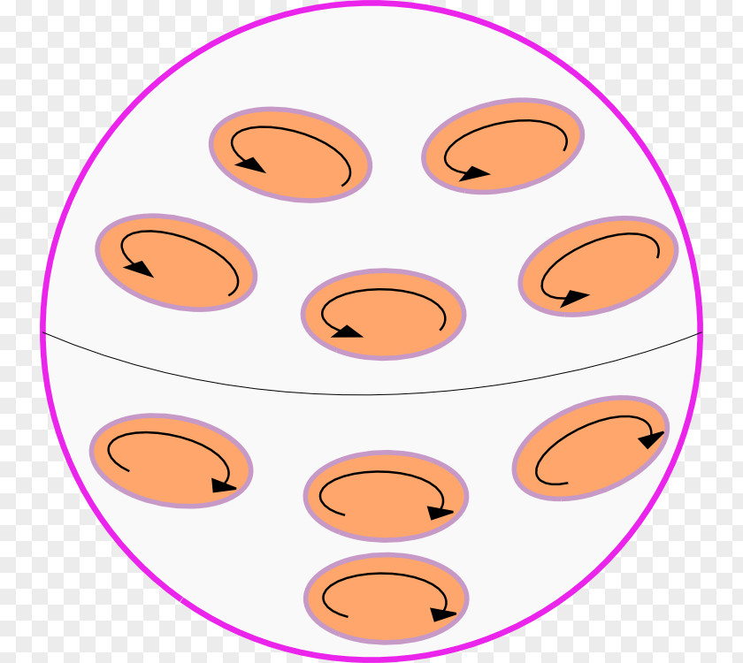 Earth Earth's Magnetic Field Dynamo Theory PNG