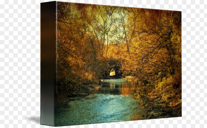 Golden Glow Gallery Wrap Painting Picture Frames Autumn Canvas PNG