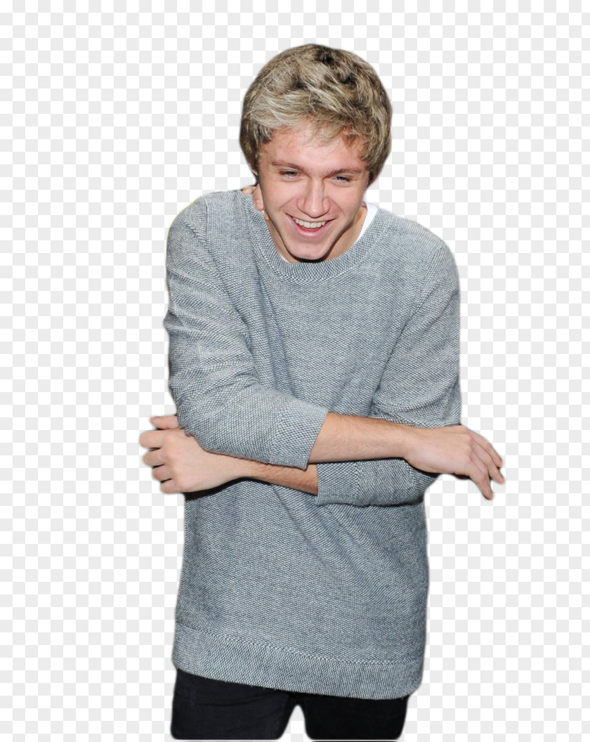 One Direction Niall Horan Mullingar DeviantArt PNG