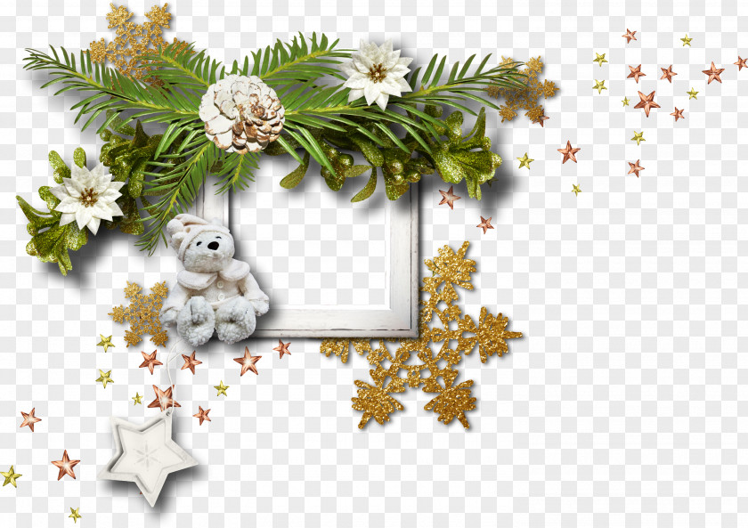 Pine Cone Picture Frames Ded Moroz Christmas Snowflake Clip Art PNG