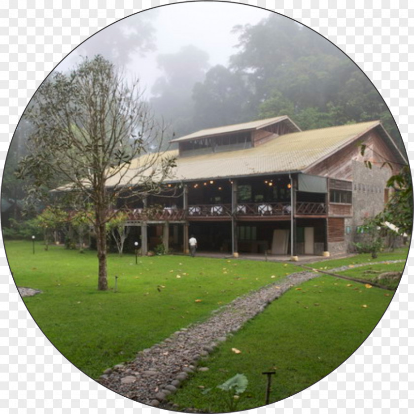 Tour Package Billboard Borneo Rainforest Lodge Accommodation Danum Valley Conservation Area PNG